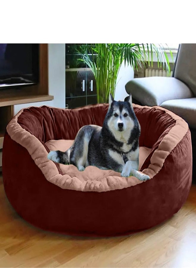 DRILLY Grade A++ Fur XXXL Dog Bed for Extra Large Dogs Washable-Orthopedic Big Dog Beds | Big Breed | | Giant Human Dog Bed% (3XL) - Image 1